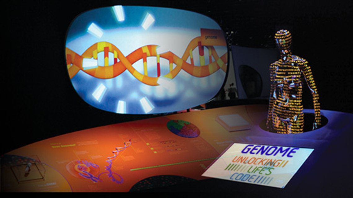 A photo of the exhibition featuring a double helix on a monitor along with a plaque that reads, "Genome Unlocking Life's Code