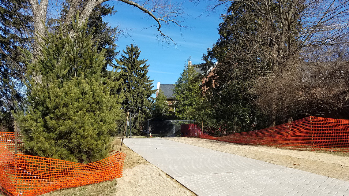 Alternate view of new access road by Bldg. 60, between the trees, with orange construction fencing still up nearby