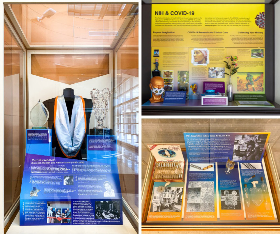 Three images joined: Glass encased exhibits with various items and artifacts.