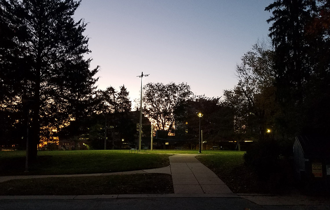 Sidewalks wind through grass and trees on the NIH campus, streetlights still lit, with blue skies and the yellow of the sunrise poking through the trees.
