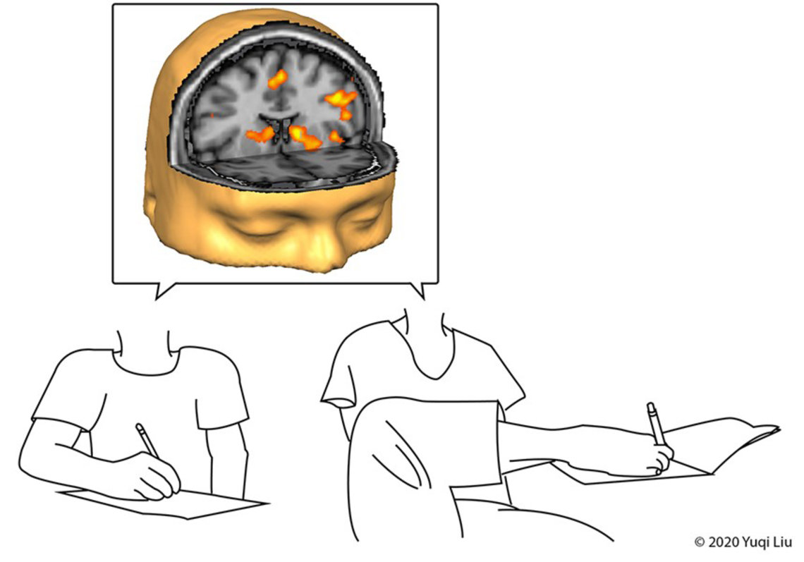 An illustration depicts a brain and line drawing of person writing with a hand and another with a foot
