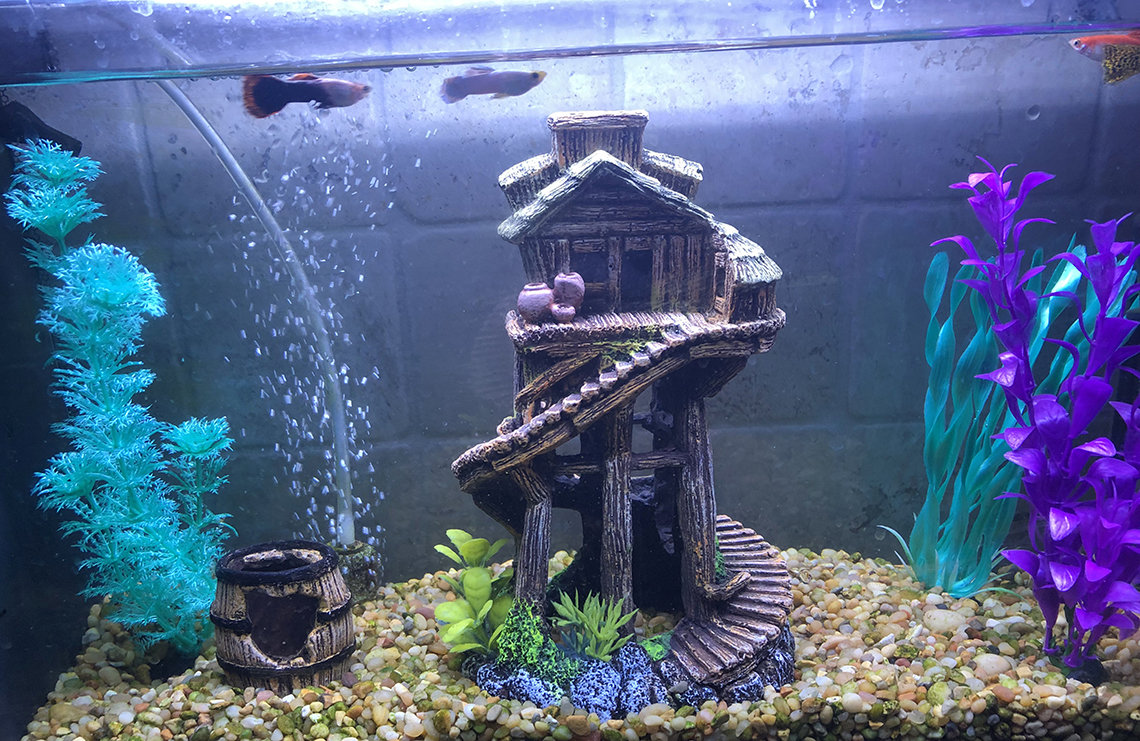 A couple of fish swim by a spooky-looking house surrounded by purple and blue plants in a fish tank.