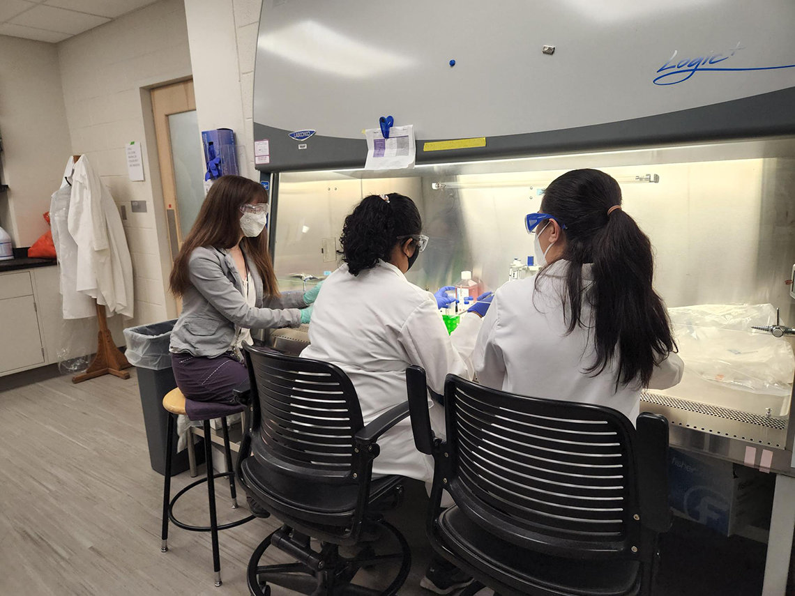 Pompano and her lab members work with samples at a bench