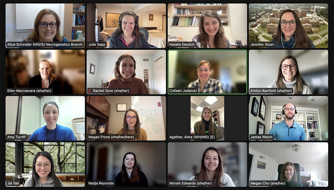 Screen shot of 16 genetic counselors meeting virtually
