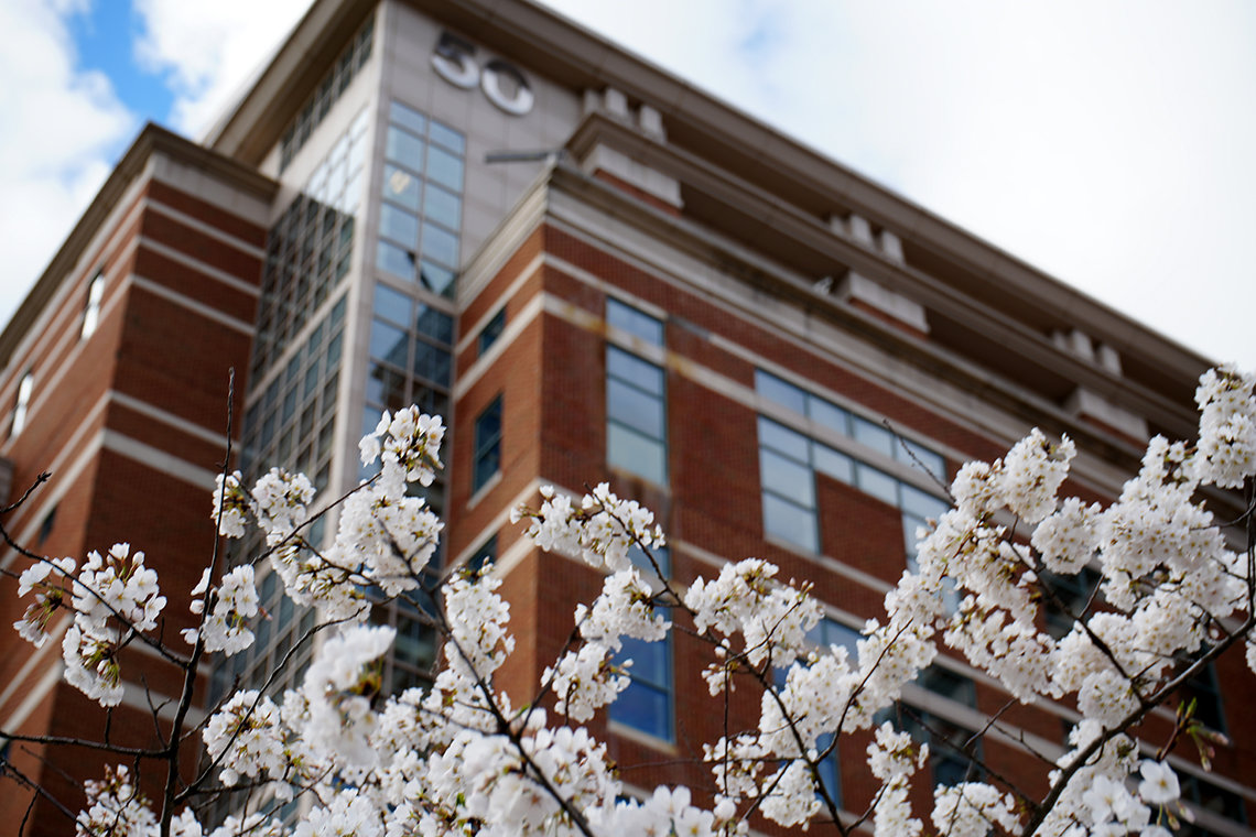 Blossoms bloom in front of Bldg. 50