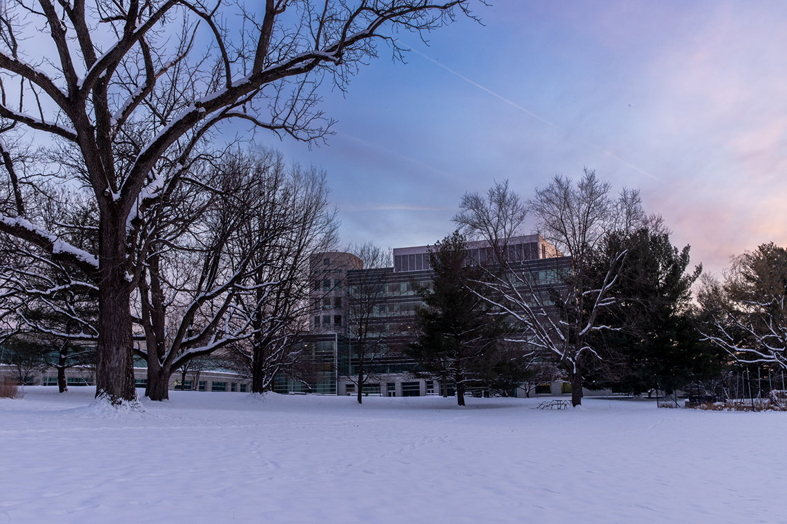 Snowy lawn behind the Natcher bldg., main campus