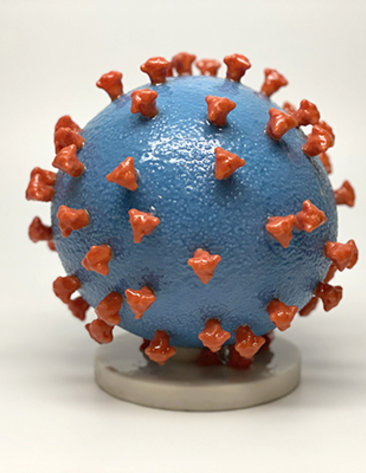 A model of the Covid spike protein: A large blue ball covered with protruding red spikes sits on a white base.