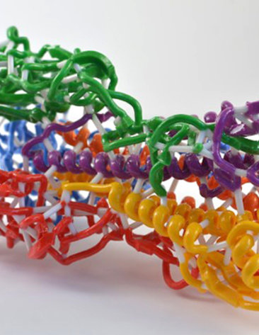 A 3D print of hemagglutinin. The colorful model has many curly lines that look like pipe cleaners.