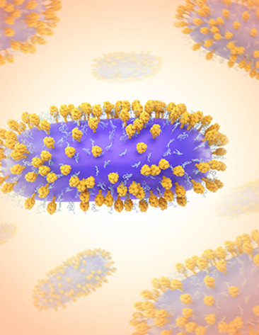 Illustration of Human Respiratory Syncytial Virus (RSV) colorized in Halloween-appropriate colors (the viral envelope is purple, G- glycoproteins are light blue, and F-glycoproteins are orange)