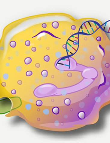 A yeloow blob dotted with pink circles and purple swirls, with a pen drawing a long DNA double helix from its center out onto the page