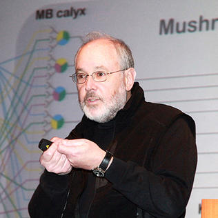 Rubin gesturing during lecture, with slide projected behind him