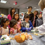 Kids at the Neuroscience Center take part in a NIDA-sponsored activity called “Touch a Brain.” PHOTO: CHIA-CHI CHARLIE CHANG