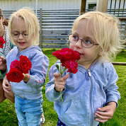 Isabella and Julia, wearing light blue hoodies, on the lawn smelling red roses.