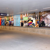 One side of the mural in the underpass highlights NIH's mission. PHOTO: CHIA-CHI CHARLIE CHANG