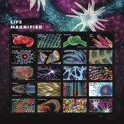 Life Magnified, a set of 20 Forever stamps, features the zebrafish and includes work from other researchers relevant to the broader NIH community. 