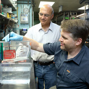 Daniel Castranova (r), an aquatic research specialist, scoops up zebrafish for study as Dr. Brant Weinstein looks on.