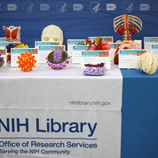 Research festivities at the NIH Library: 3D-printed scientific objects on display PHOTO: DANA TALESNIK